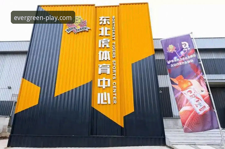 蒋林静夺冠背后：四季体育App观赛体验与技术评测深度分析